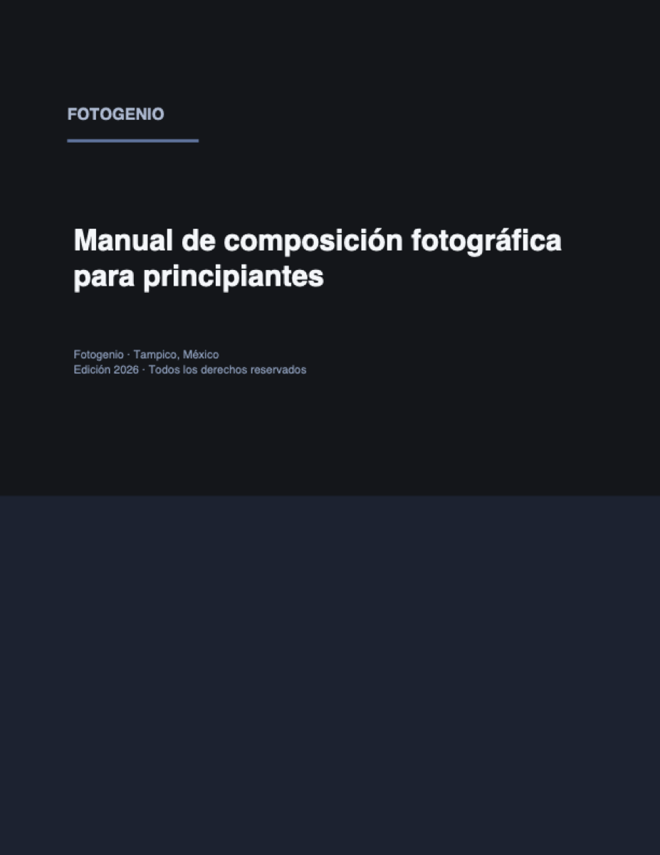 Manual de composición fotográfica para principiantes — Ebook